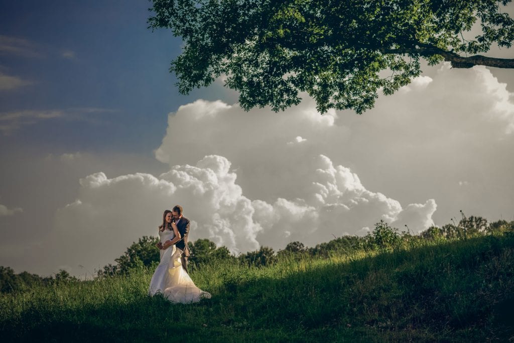 Groom holds bride in the pasture against blue sky